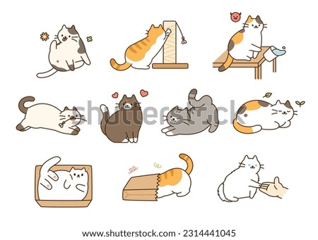 Fat cute cat lifestyle. They are joking around, having accidents, and having fun. Royalty-Free Stock Photo #2314441045