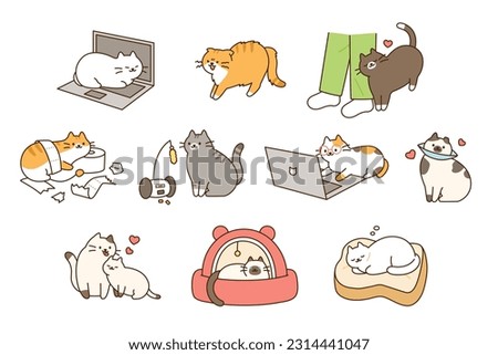 Fat cute cat lifestyle. They play pranks, have accidents, and play comfortably and happily. Royalty-Free Stock Photo #2314441047