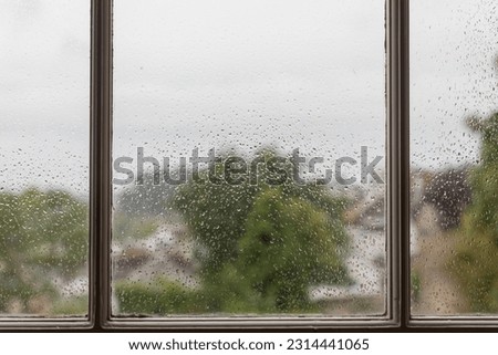 Water Droplets on a Pane of Glass with Blurred Garden Background. Close up of Raindrops on a Window. Green Trees Out of Focus.