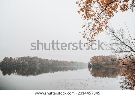 
The Dnieper River in the City of Dnepr in autumn. Foggy morning. spit on the embankment of victory. Trees branches with yellow leaves, bird fishermen near the river
