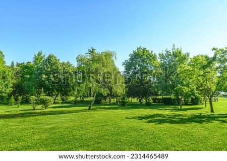 sunny landscape of green lawn and trees in summer park