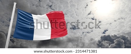 Flag France protest in paris