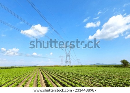 High voltage electric transmission lines  Royalty-Free Stock Photo #2314488987