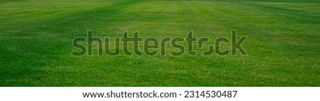 Agricultural mowing in summer.mowed grass on a field with green clover. Nature, background.  no people. field of young fresh grass. green grass in perspective. spring time season. nobody Royalty-Free Stock Photo #2314530487