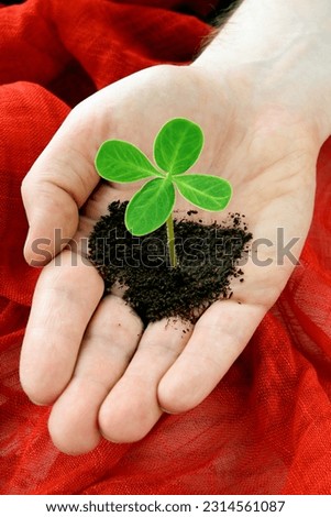 green clover sprout with soil in hand