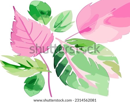 Tropical palm leaves set isolated on white background. Vector illustration EPS10