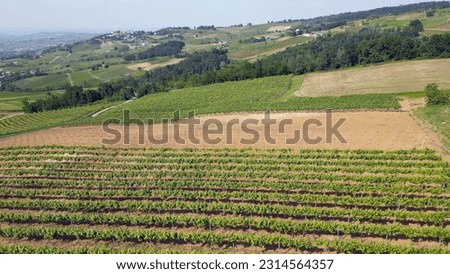 Italy , Oltrepo' Pavese , 
hills with vineyards for the production of wine, rows of vines   - Tuscan Apennines landscape view from the drone, tourist attraction sightseeing near Montalto Pavese Broni  Royalty-Free Stock Photo #2314564357
