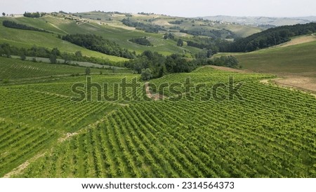 Italy , Oltrepo' Pavese , 
hills with vineyards for the production of wine, rows of vines   - Tuscan Apennines landscape view from the drone, tourist attraction sightseeing near Montalto Pavese Broni  Royalty-Free Stock Photo #2314564373