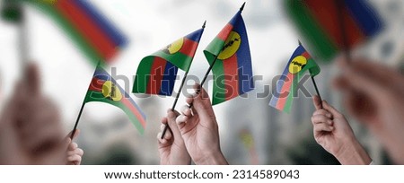 A group of people holding small flags of the New Caledonia in their hands. Royalty-Free Stock Photo #2314589043
