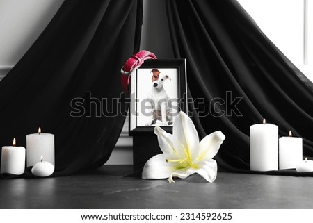 Frame with picture of dog, collar, burning candles and lily flower on grey table. Pet funeral