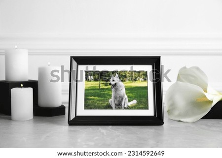 Frame with picture of dog, burning candles and calla lily flowers on light grey table. Pet funeral