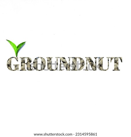 Groundnut font design on white background. real peanuts and leaf font.