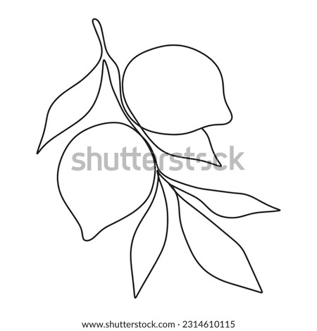 Hand drawn one line lemon branch with leaves. Minimalistic lemon sketch.