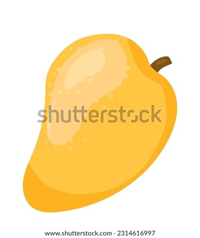 Mango vector illustration. thai mango

