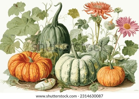 Pumpkin set of ripe pumpkins, leaves, pumpkin slices, seeds. Vector illustration in a flat style on a white background. Royalty-Free Stock Photo #2314630087