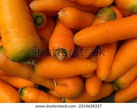 sardines background, fresh carrots, fresh vegetables, orange