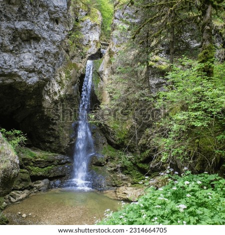 
The Cascade du Moulin in Les Bouchoux is located in the Jura. Located on the Tacon, the Moulin waterfall offers a fall of 19 meters which falls into a pot dug by its own waters. Royalty-Free Stock Photo #2314664705