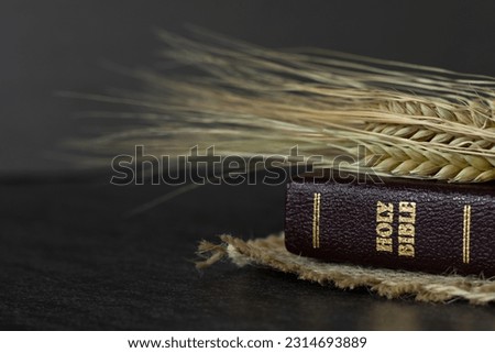 Ears of barley on closed holy bible book with golden text on dark background. A close-up. Spring harvest season, Christian spiritual firstfruits, offering to God Jesus Christ, biblical concept. Royalty-Free Stock Photo #2314693889