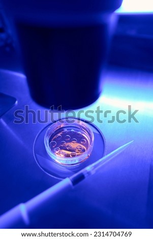 Laboratory worker examining under microscope stem cells in petri dish Royalty-Free Stock Photo #2314704769