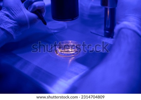 Laboratory worker selecting embryos for transferring in clinic Royalty-Free Stock Photo #2314704809