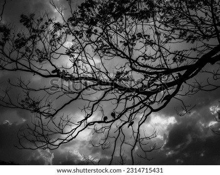 black and white cloudy sky 