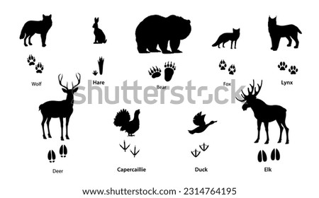 Forest animal and bird silhouettes with footprints. Vector foot prints of wolf, bear, fox, lynx and hare paws, isolated black tracks of deer, elk or moose hooves, duck and capercaillie feet Royalty-Free Stock Photo #2314764195