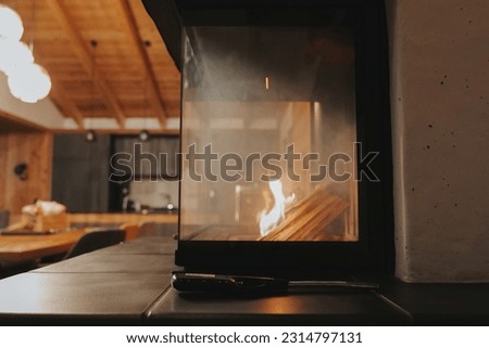  Fireplace in the interior.Fire up the fireplace. Glass fireplace in the interior.Home fireplace ignition.