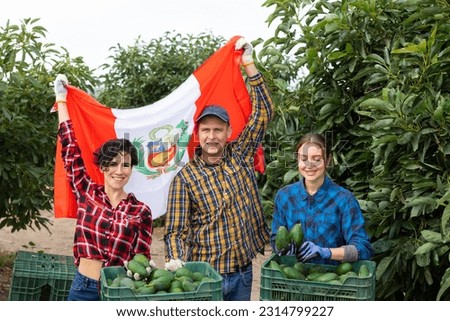Happy farmers posing with harvest of lemons and waving the flag of Peruvian in orchard