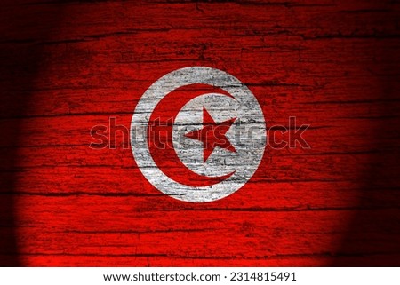 Tunisia flag painting on wood