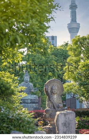 Harmony Between Ancient and Modern: Buddha Statues in Front of the Dazzling Tokyo Skytree