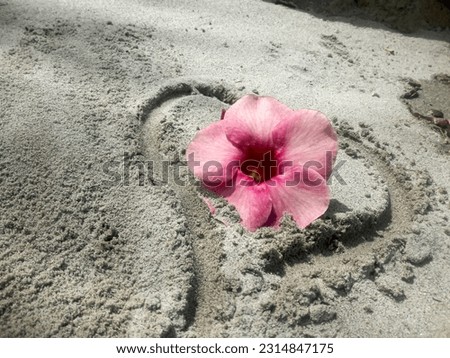 a purple flower on the sand with a picture of love