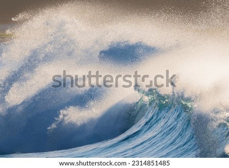A high contrast image of a large wave backlit by the early morning sun  Royalty-Free Stock Photo #2314851485