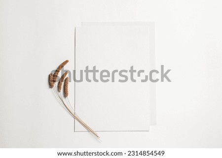 Empty sheet of paper and dry decorative spikes on white background, flat lay. Mockup for design