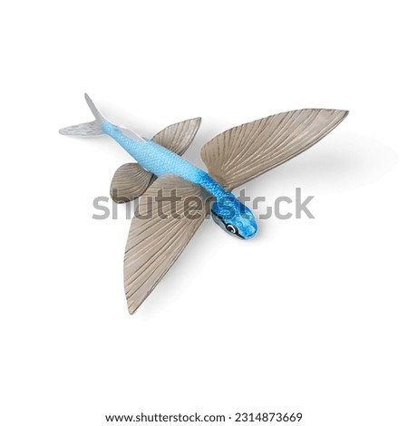 Close-up of a flying fish miniature toy on a white background