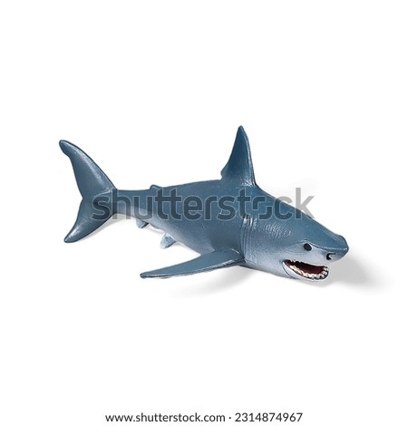 Close-up of a miniature toy shark on a white background