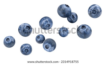 Blueberry isolated on white background. Organic blueberry isolated on white background. Taste blueberry with leaf Royalty-Free Stock Photo #2314918755