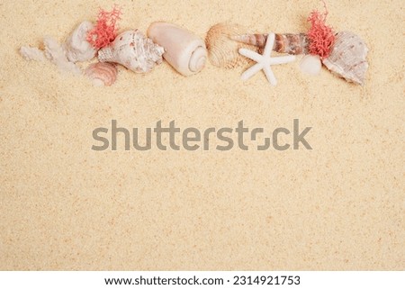 Seashells with starfish, seaweed on sand background. Sea summer vacation frame card with space for the text