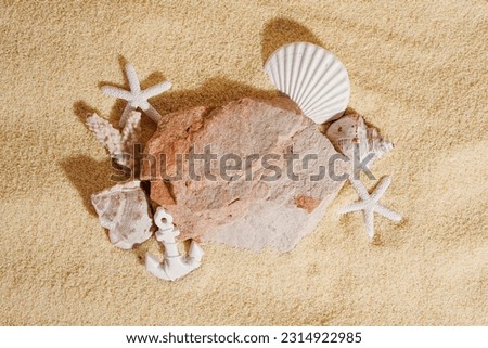 Seashells with starfish and stone on sand background. Podium for cosmetics products. Sea summer card