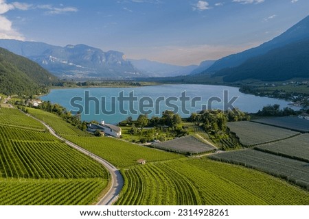The area of lake Caldaro in South Tyrol is surrounded by many high quality vineyards from which many famous types of white wines are produced