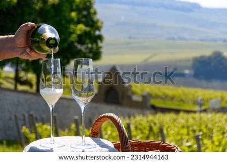 Tasting of premier cru sparkling white wine with bubbles champagne with view on green pinot noir, meunier vineyards of Hautvillers, Champagne, France. Royalty-Free Stock Photo #2314944163