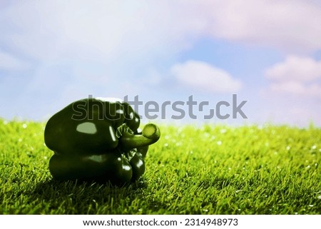 green paprika on grass copy space