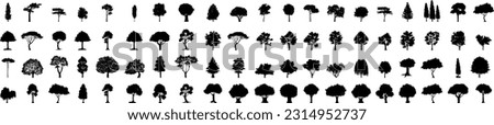 tree silhouettes. Evergreen forest firs and spruces black shapes, wild nature trees templates. Vector illustration