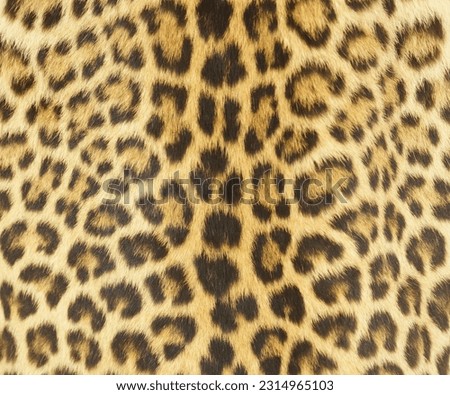    real leopard fur texture wallpaper                             