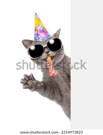 Happy cat wearing sunglasses and party cap blows in party horn and looks from behind empty white banner. isolated on white background