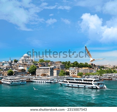 Istanbul, Türkiye: Full of eastern promise, perfect for a weekend mini break - Country Life Royalty-Free Stock Photo #2315007543