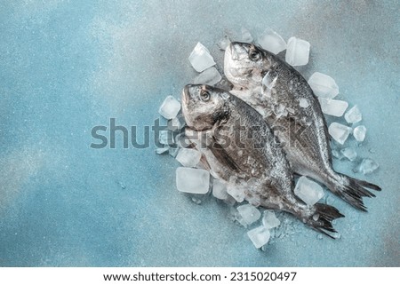 Raw fresh dorado or sea bream on ice cubes on blue concrete background. place for text, top view.