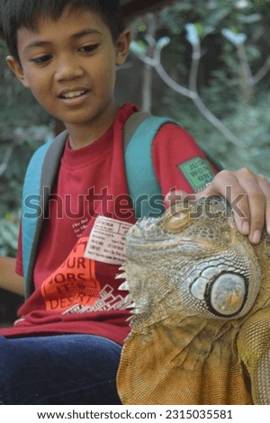 a child interacting with Iguana, iguana in zoo, school holidays