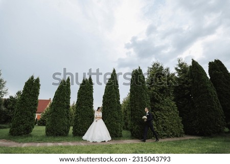 Portrait of the bride and groom in nature. Stylish bride and groom in a long lace dress are hugging and posing near the trees in the garden. A happy couple in love