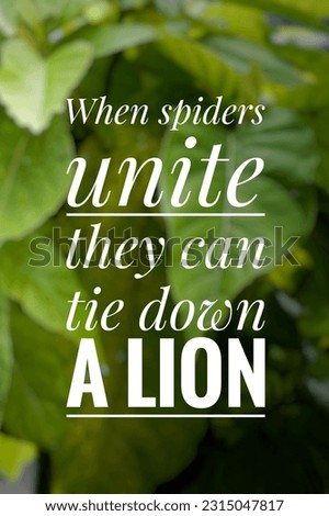 Inspirational life quote on blurry background. When spiders unite, they can tie down a lion.