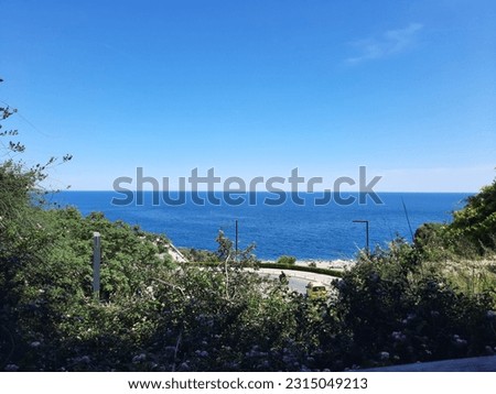 Photo of green forest next to calm sea and peaceful sky